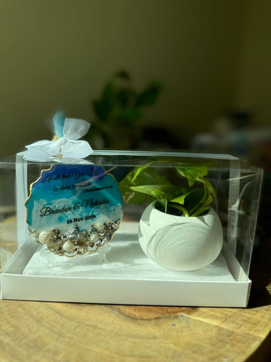 Planter and Ocean Plate Hamper