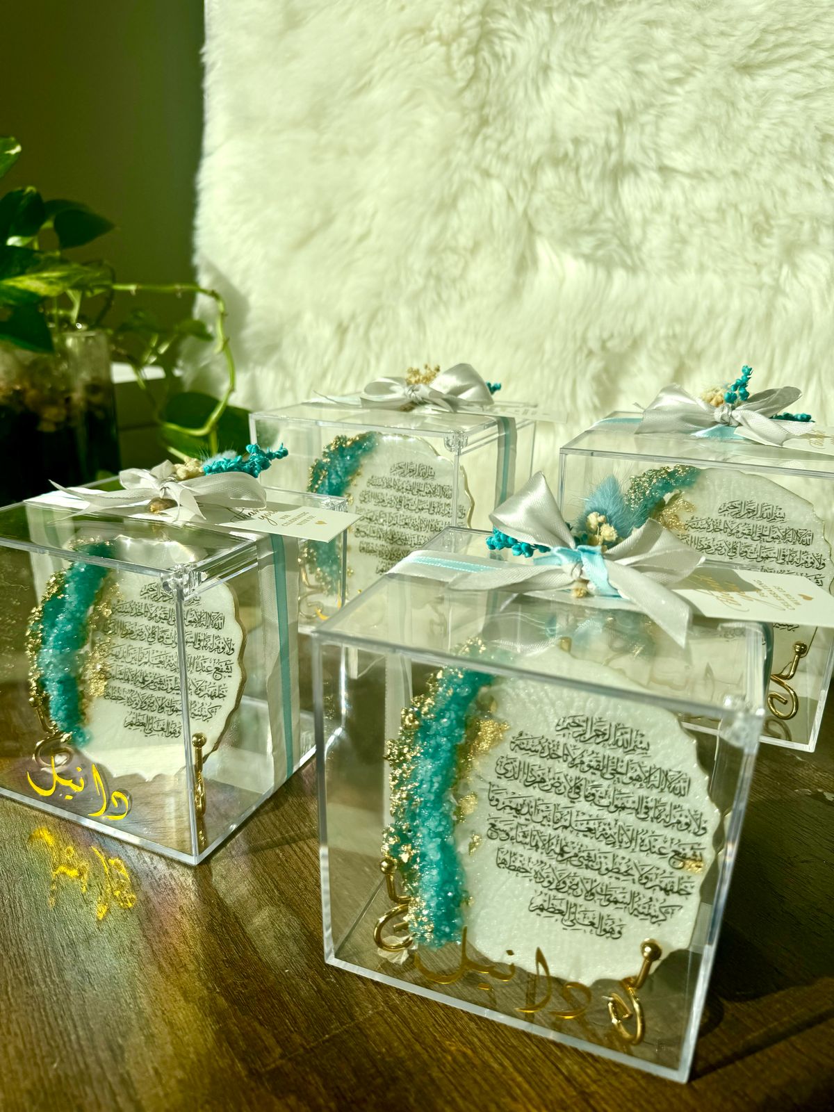 Resin Display Plates