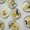 12 Months Baby Resin Coasters