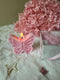 Butterfly Candles 