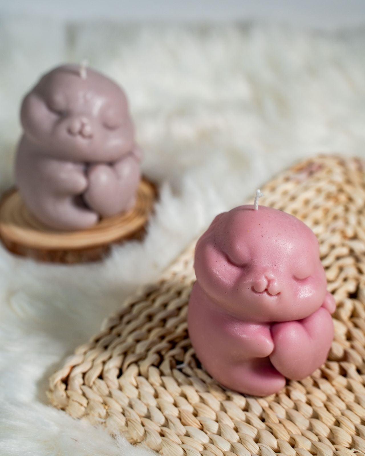 Front view of 2 bunnies placed together