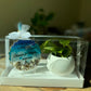Planter and Ocean Plate Hamper