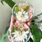Flower Preserved Coaster