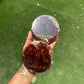 Flower Preserved Coaster
