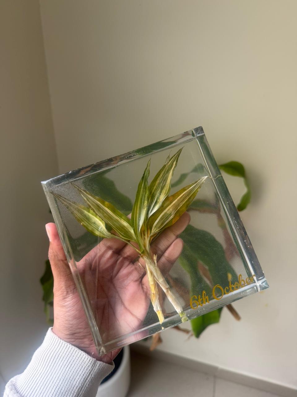 Resin Square Block