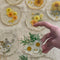 Pressed Flower Coasters