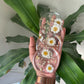 Flower Pressed Coasters
