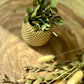 Planter