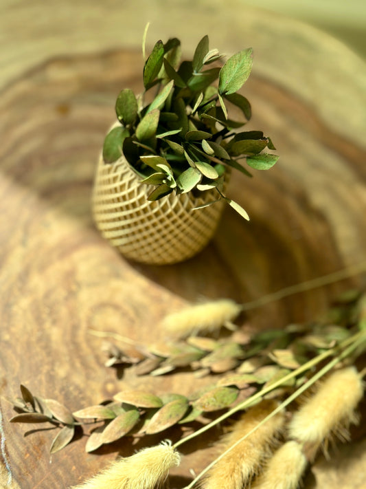 Planter