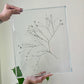 Preserved Leaf In Project