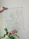 Preserved Leaf In Project
