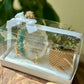 Planter and Display Plate Hamper